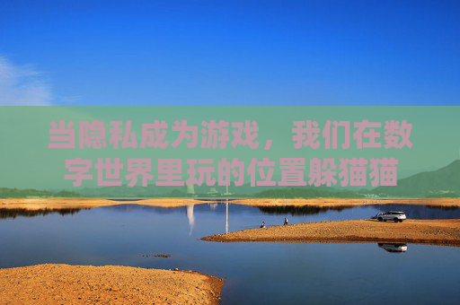 当隐私成为游戏，我们在数字世界里玩的位置躲猫猫