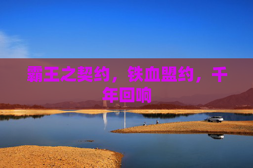 霸王之契约，铁血盟约，千年回响