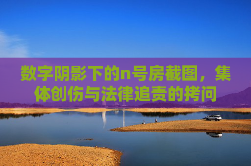 数字阴影下的n号房截图，集体创伤与法律追责的拷问