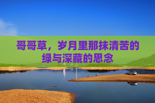 哥哥草，岁月里那抹清苦的绿与深藏的思念