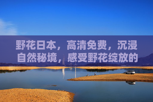 野花日本，高清免费，沉浸自然秘境，感受野花绽放的灵动之美