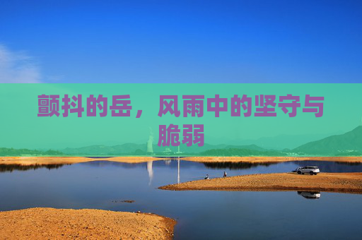 颤抖的岳，风雨中的坚守与脆弱