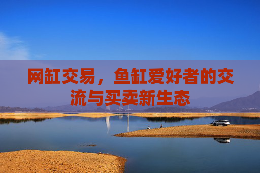 网缸交易，鱼缸爱好者的交流与买卖新生态