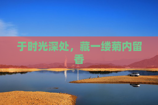 于时光深处，藏一缕菊内留香