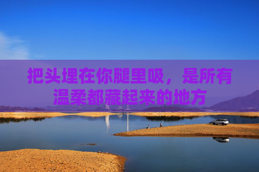把头埋在你腿里吸，是所有温柔都藏起来的地方