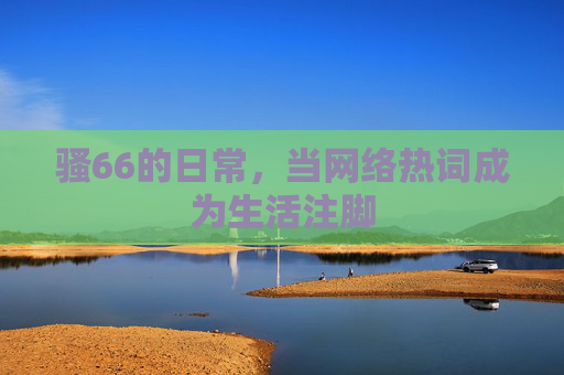 骚66的日常，当网络热词成为生活注脚