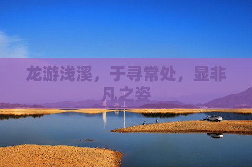龙游浅溪，于寻常处，显非凡之姿
