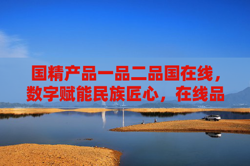 国精产品一品二品国在线，数字赋能民族匠心，在线品鉴文化瑰宝
