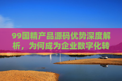 99国精产品源码优势深度解析，为何成为企业数字化转型的核心引擎