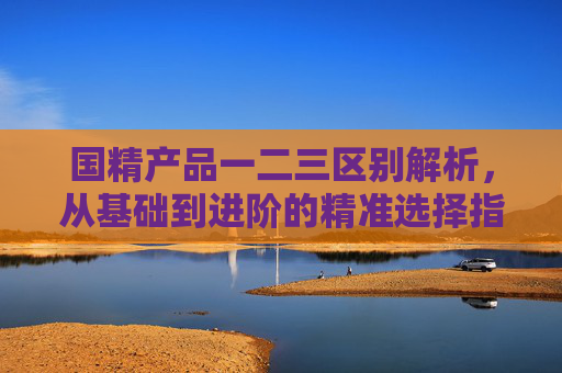 国精产品一二三区别解析，从基础到进阶的精准选择指南