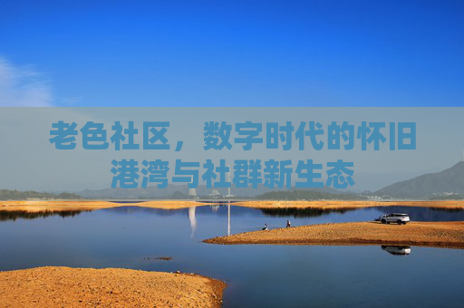 老色社区，数字时代的怀旧港湾与社群新生态