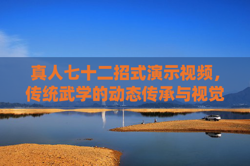 真人七十二招式演示视频，传统武学的动态传承与视觉盛宴