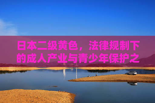 日本二级黄色，法律规制下的成人产业与青少年保护之争