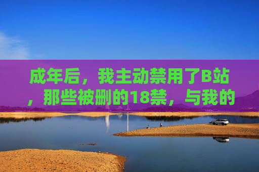 成年后，我主动禁用了B站，那些被删的18禁，与我的成长轨迹