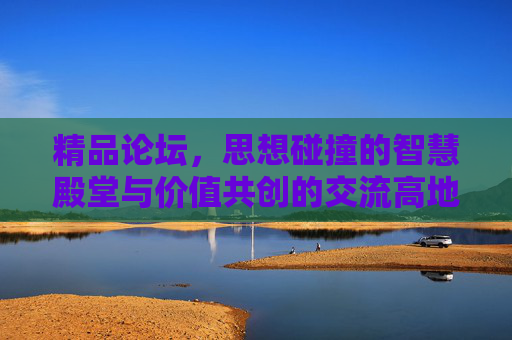 精品论坛，思想碰撞的智慧殿堂与价值共创的交流高地