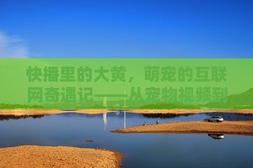 快播里的大黄，萌宠的互联网奇遇记——从宠物视频到网络热梗的诞生