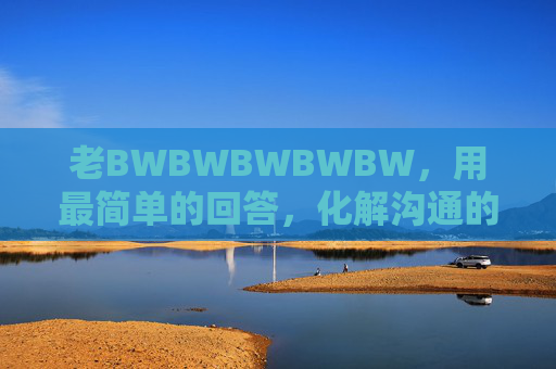 老BWBWBWBWBW，用最简单的回答，化解沟通的复杂