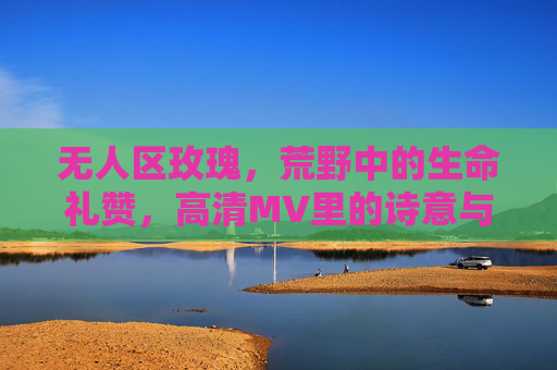 无人区玫瑰，荒野中的生命礼赞，高清MV里的诗意与力量