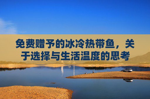 免费赠予的冰冷热带鱼，关于选择与生活温度的思考