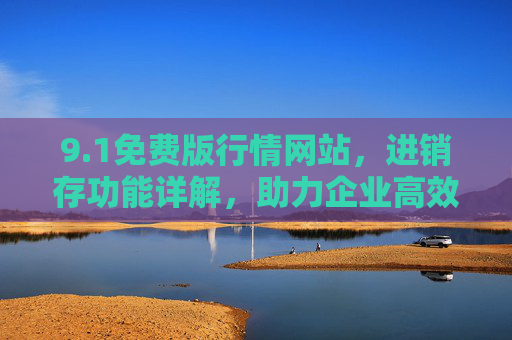 9.1免费版行情网站，进销存功能详解，助力企业高效管理库存与销售