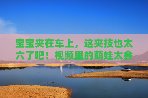 宝宝夹在车上，这夹技也太六了吧！视频里的萌娃太会了