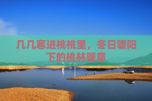 几几寒进桃桃里，冬日暖阳下的桃林暖意