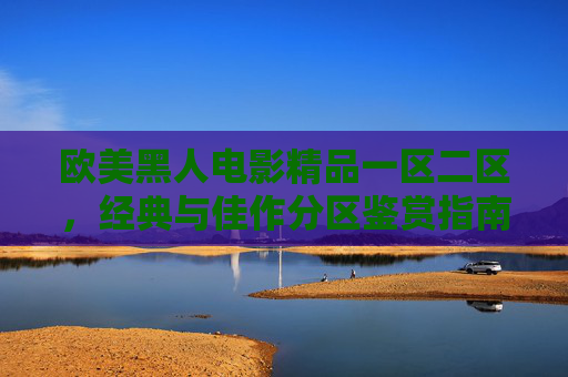 欧美黑人电影精品一区二区，经典与佳作分区鉴赏指南