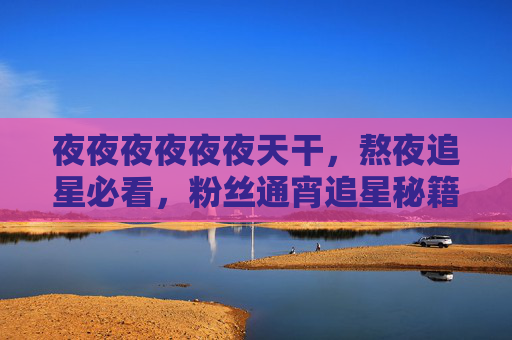 夜夜夜夜夜夜天干，熬夜追星必看，粉丝通宵追星秘籍（粉丝专属娱乐通宵攻略）