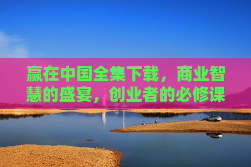 赢在中国全集下载，商业智慧的盛宴，创业者的必修课