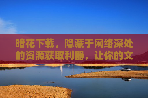 暗花下载，隐藏于网络深处的资源获取利器，让你的文件下载体验更高效