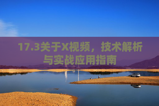 17.3关于X视频，技术解析与实战应用指南