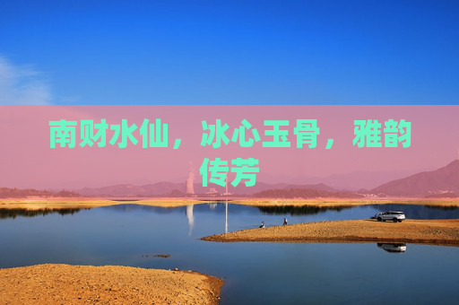 南财水仙，冰心玉骨，雅韵传芳