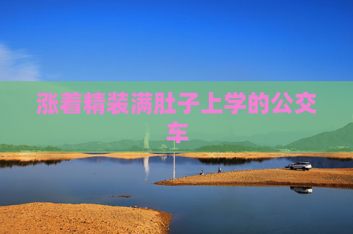 涨着精装满肚子上学的公交车