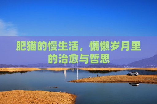 肥猫的慢生活，慵懒岁月里的治愈与哲思