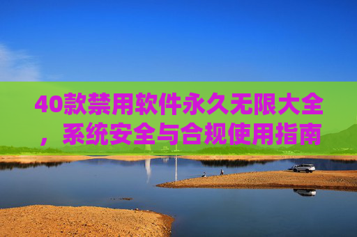 40款禁用软件永久无限大全，系统安全与合规使用指南