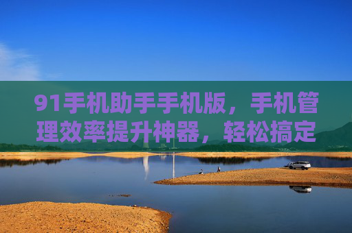 91手机助手手机版，手机管理效率提升神器，轻松搞定设备日常维护