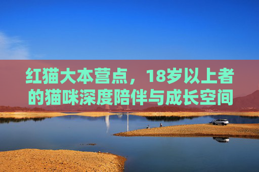 红猫大本营点，18岁以上者的猫咪深度陪伴与成长空间