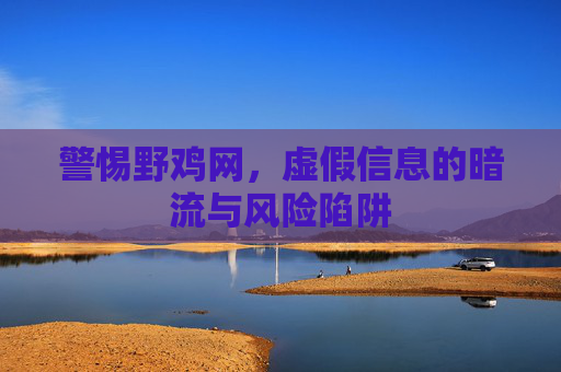警惕野鸡网，虚假信息的暗流与风险陷阱