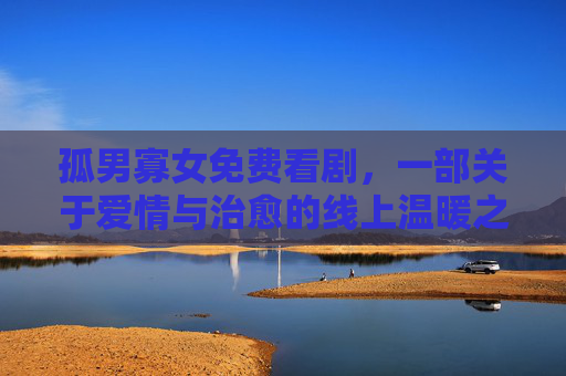 孤男寡女免费看剧，一部关于爱情与治愈的线上温暖之旅