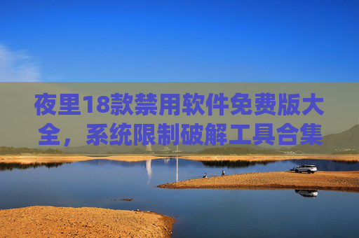 夜里18款禁用软件免费版大全，系统限制破解工具合集，助你轻松绕过软件使用限制