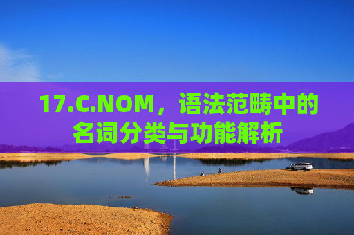 17.C.NOM，语法范畴中的名词分类与功能解析