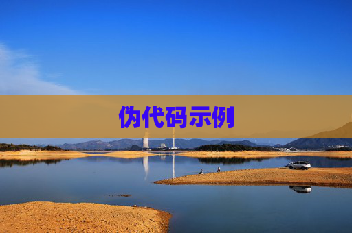 伪代码示例