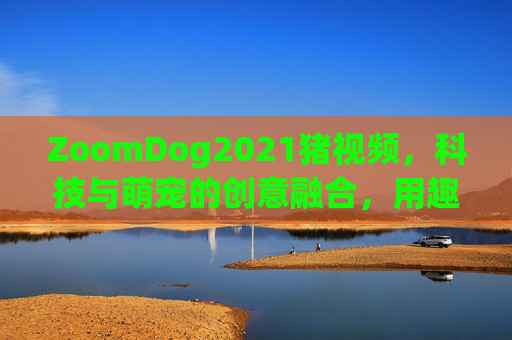 ZoomDog2021猪视频，科技与萌宠的创意融合，用趣味点亮生活角落