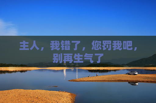 主人，我错了，您罚我吧，别再生气了