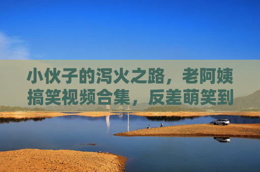 小伙子的泻火之路，老阿姨搞笑视频合集，反差萌笑到喷饭！