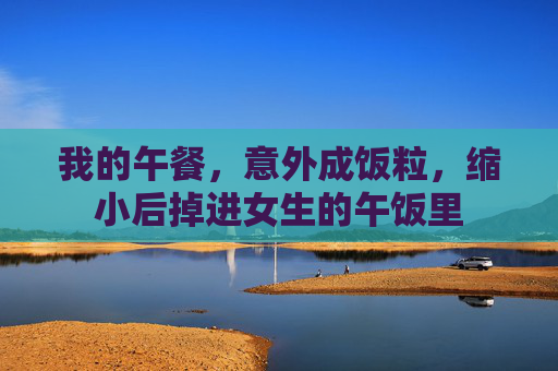 我的午餐，意外成饭粒，缩小后掉进女生的午饭里