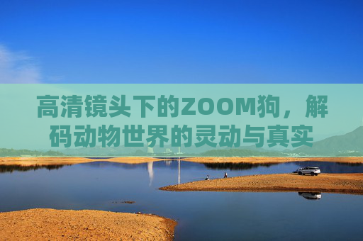 高清镜头下的ZOOM狗，解码动物世界的灵动与真实