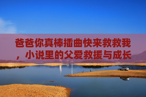 爸爸你真棒插曲快来救救我，小说里的父爱救援与成长之旅