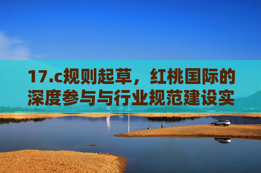 17.c规则起草，红桃国际的深度参与与行业规范建设实践