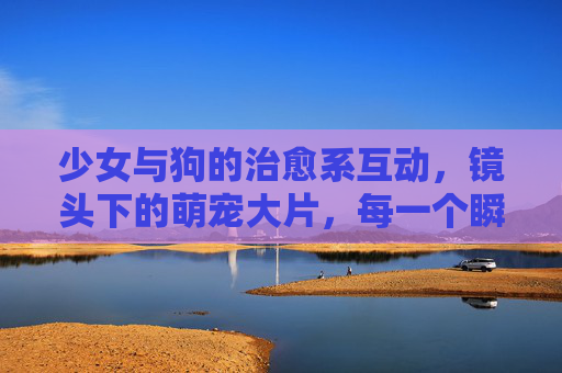 少女与狗的治愈系互动，镜头下的萌宠大片，每一个瞬间都戳中心巴